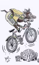 Wild Boar Chase 2024