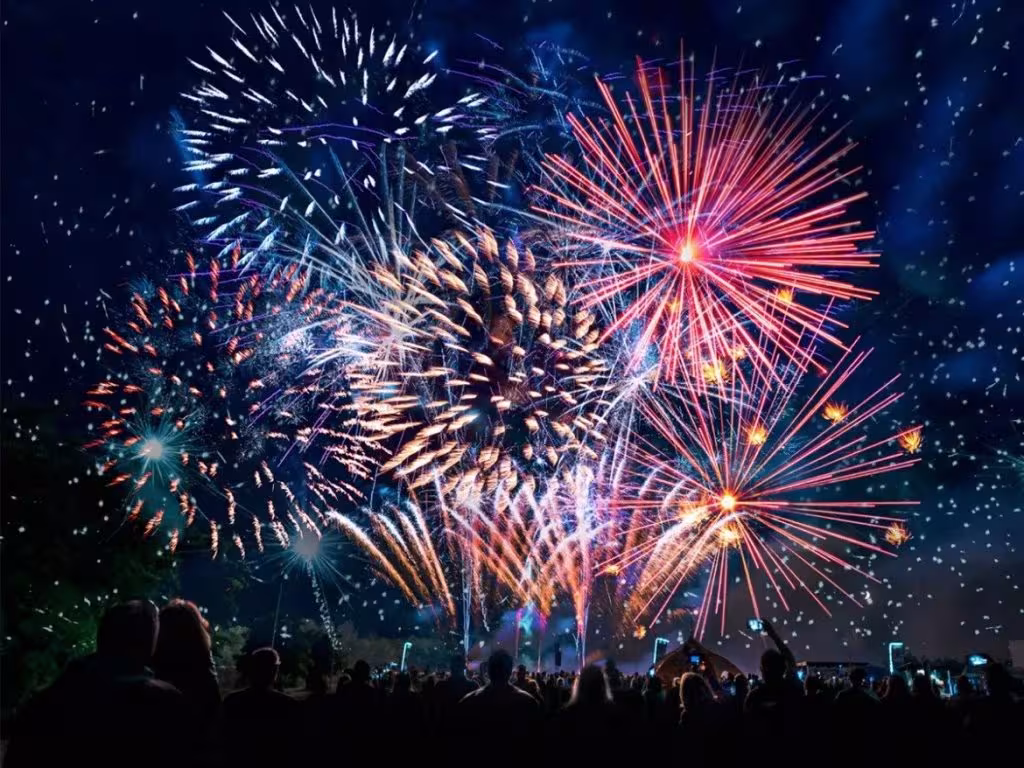 Lions Fireworks 2024